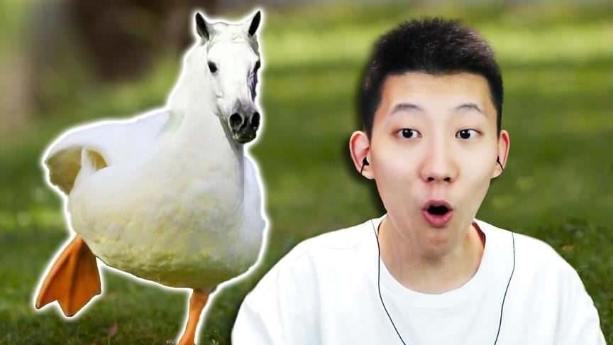 动物融合模拟器，螃蟹和鹅会变成什么？鲤鱼Ace解说