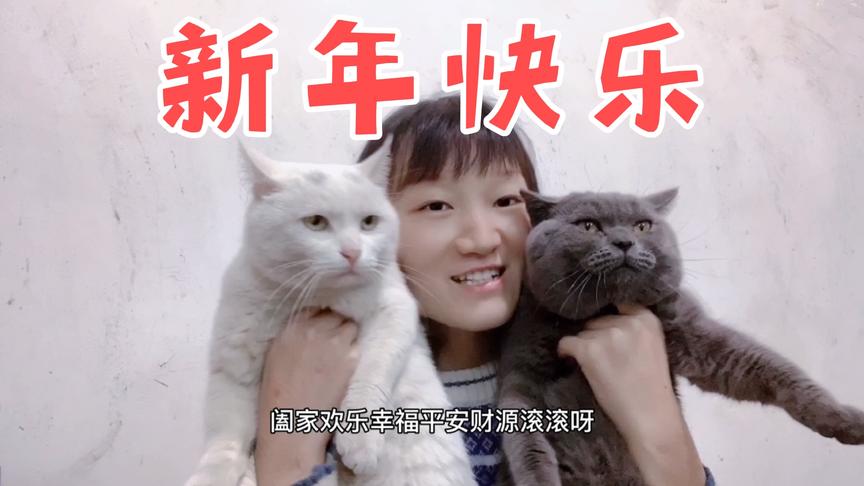小猫咪握手击掌祝大家牛年快乐，幸福平安，财源滚滚