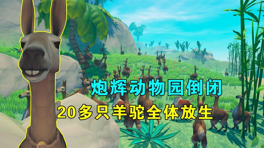 木筏求生联机68：炮辉动物园倒闭，20多只羊驼全体放生，回归自然