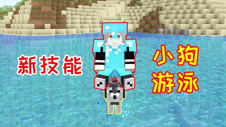 小毅海洋版147：小狗学会新技能，骑着小狗可以下水游泳！