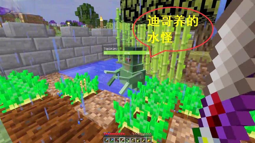 我的世界联机137：小帕找吃的，无意间发现了，迪哥养的水怪