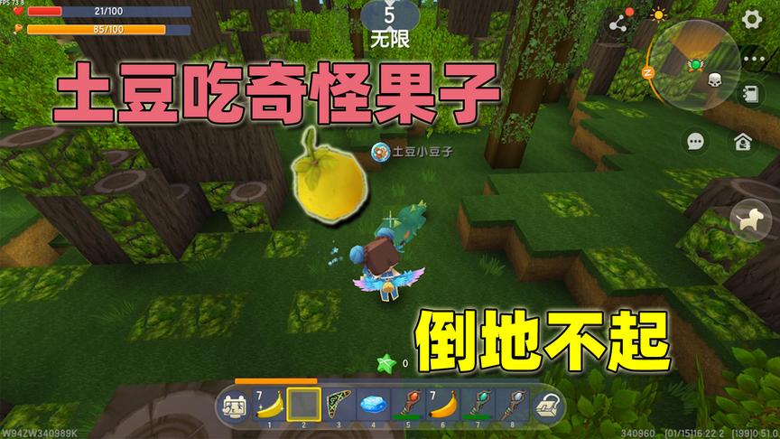迷你世界：半拉摘乔木果实让土豆第一个尝，结果他吃了后倒地不起