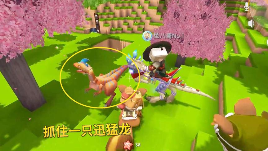 迷你世界极限联机95：我们利用坑龙1号陷阱，抓住一只迅猛龙