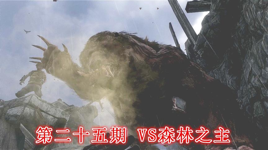 末日希望《地铁离去》无伤亡最高难度P25：VS森林之主