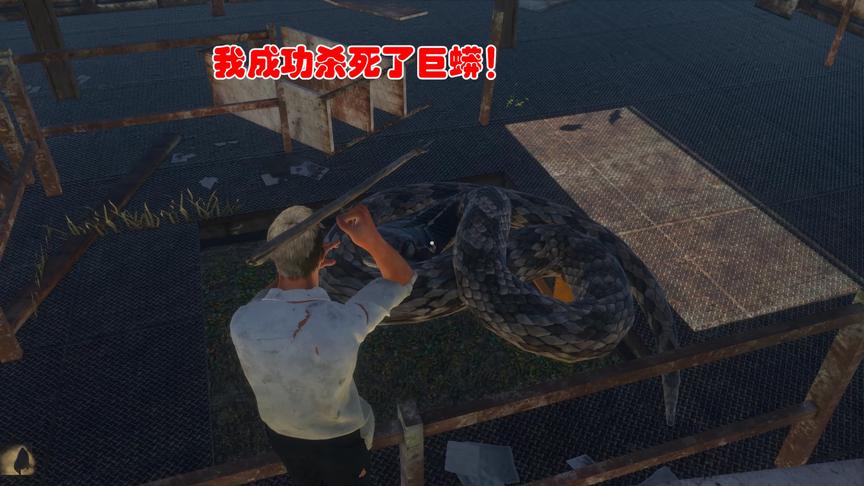 荒岛求生186：我使用木矛杀死了巨蟒，却发现了一个秘密