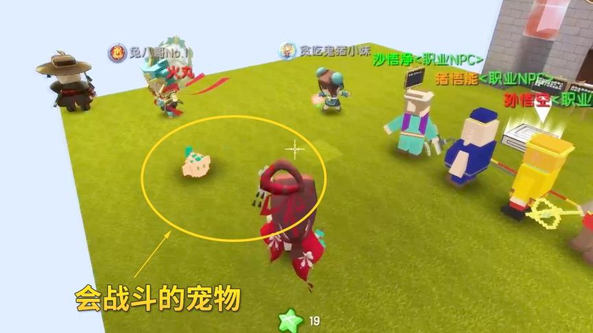 迷你世界之西游记2：我提取5个星星礼盒，在商人那里买了1个宠物