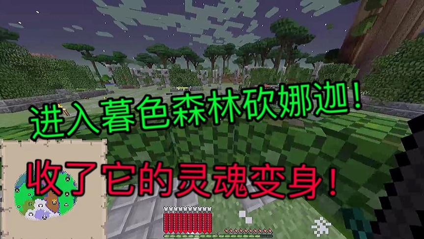 当新手玩家进入暮色森林，收了娜迦灵魂太激动了！（4）