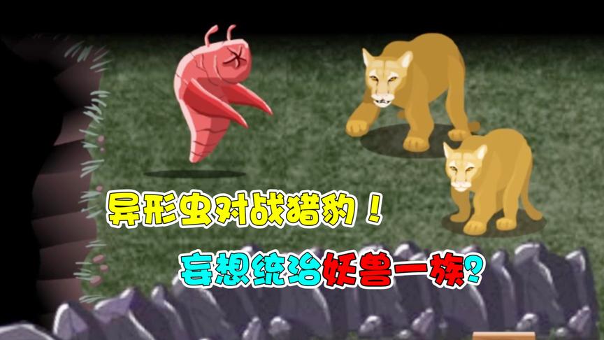 异形虫历险记：异形虫对战猎豹！妄想统治妖兽一族？