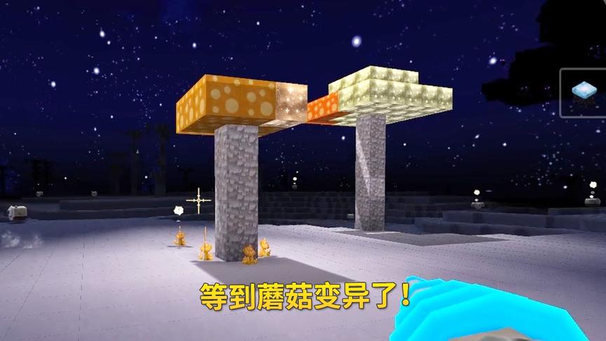 迷你世界204：我在萌眼星挂机1小时，终于看到星光孢子开始变异了