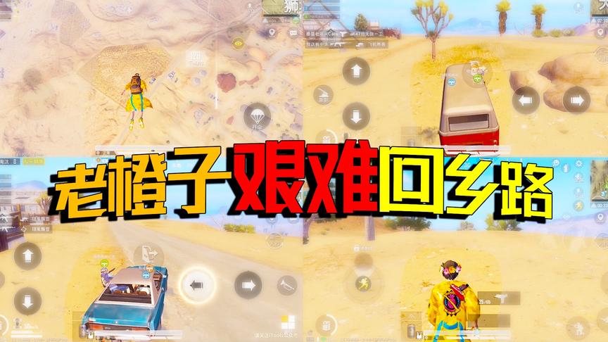 橙氏集团破产后 走投无路的老橙子返乡橙花镇 结果欠下一屁股债！