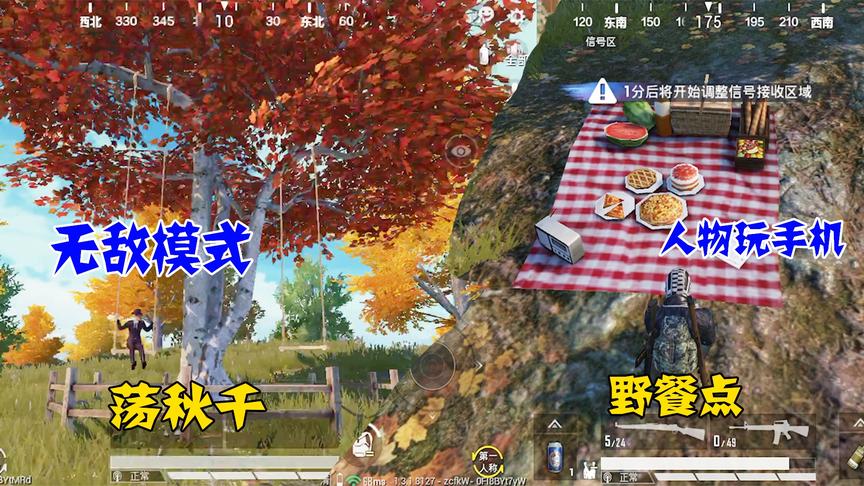 枫树林中的，荡秋千，野餐地，以后会成为网红点吗？