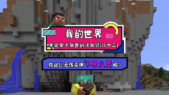 我的世界：下界之星不够用？用炼药锅熬一锅汤试试看