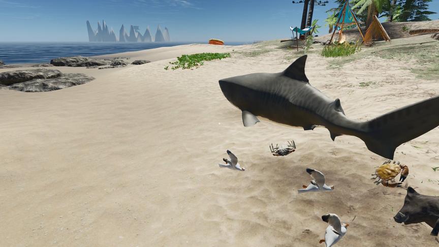 荒岛求生67：一鲨一猪两鸟三蟹，我东穆今天就要和这些动物交朋友