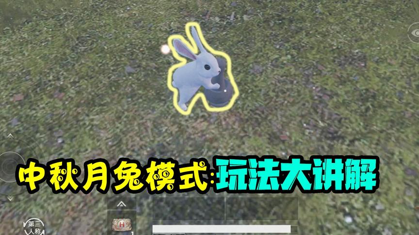 蛋炒范游戏：可爱的兔子 黑夜的月亮 这一切都真的太美了