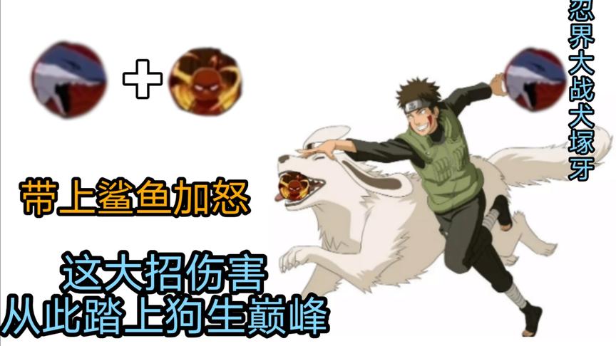 忍战系列：带上鲨鱼和怒，牙和赤丸笑开了花，从此走上狗生巅峰！