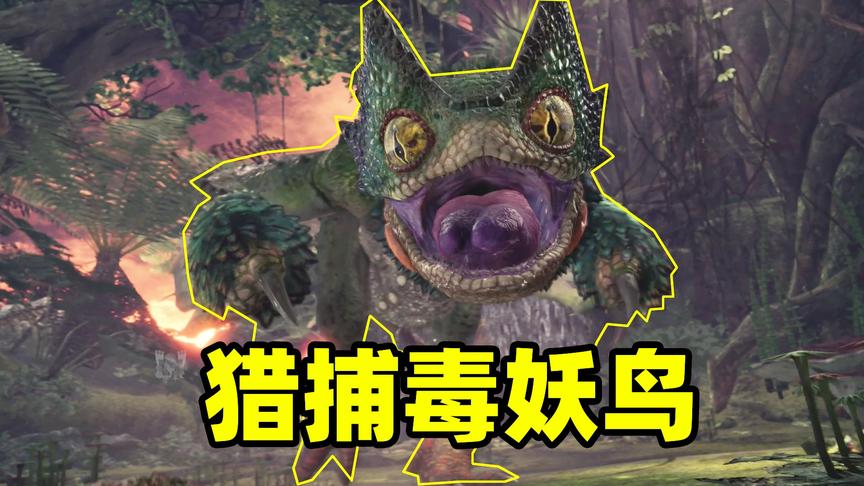 怪物猎人02：整装待发前往古森林，就用天下第一刀，对决毒妖鸟！