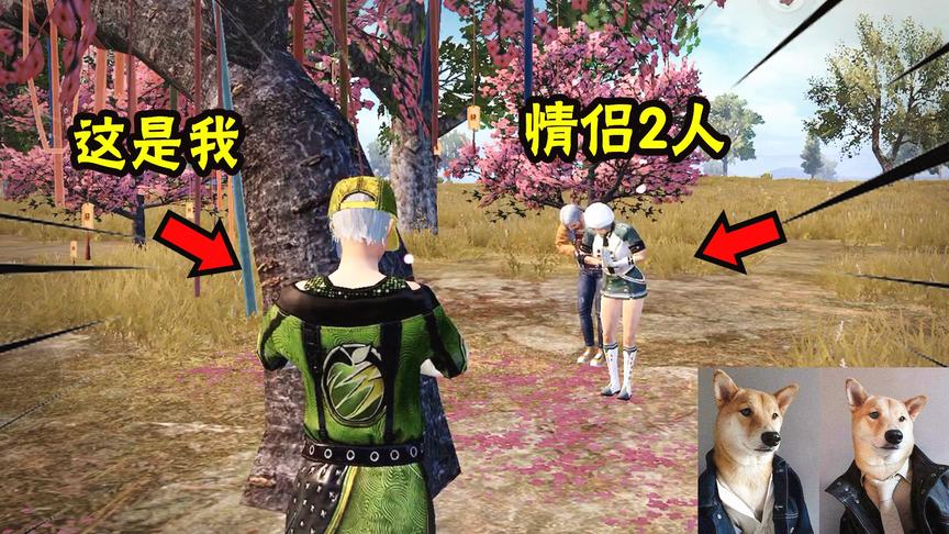 南美小猴子：单身玩家和情侣一起“祈愿”，不料被他们追着打！