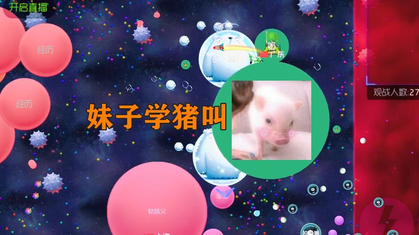 球球大作战：小姐姐居然发出猪叫声，童心惊呆了！