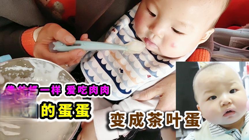 蛋蛋兽：这就是你们要的小落星，你们看他是不是又长圆了