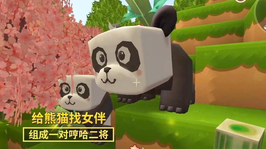 迷你世界极限生存12：我在竹林中，给宠物熊猫找了一个女伴