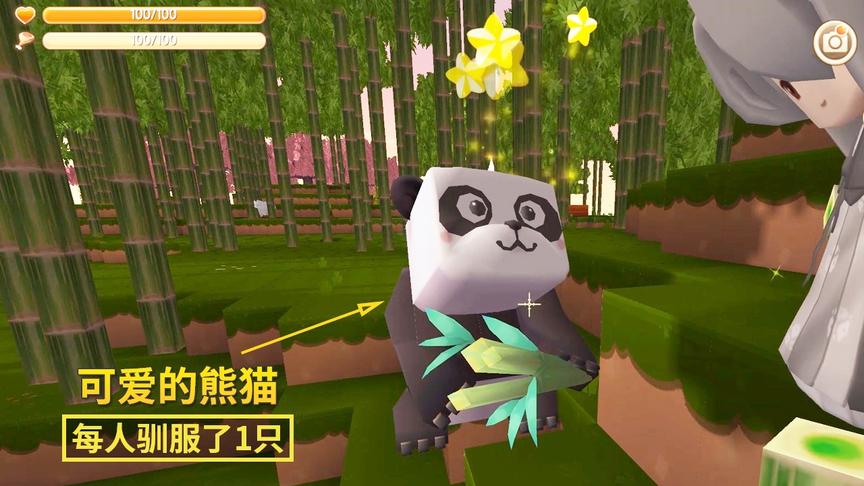 迷你世界164：我和贤弟都想拥有一个宠物，熊猫让我们如愿以偿！