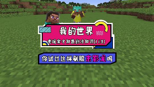 我的世界：一招教你如何撩末影龙，让它陪你过情人节吧