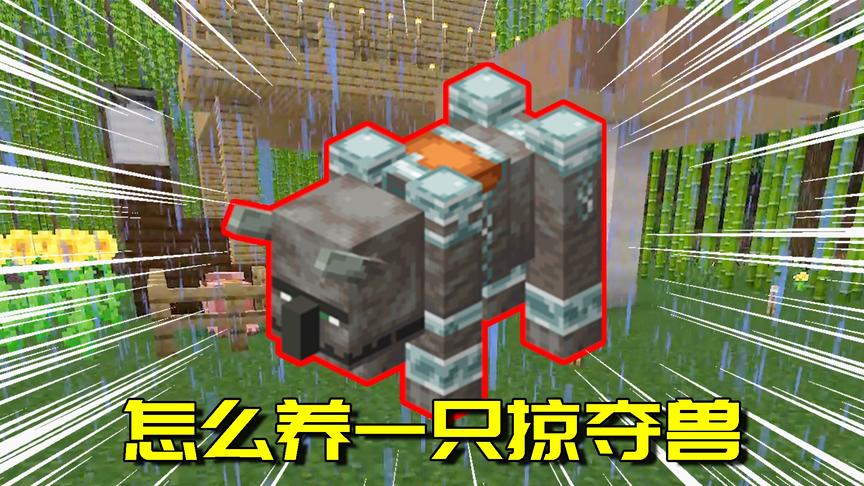 我的世界生存日记60：阳村规模越来越大！就差家里养一只掠夺兽了