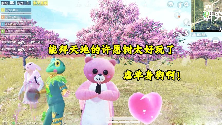 奔奔解说：学校的许愿树太好玩了吧！不仅能拜天地，还能捡三级套