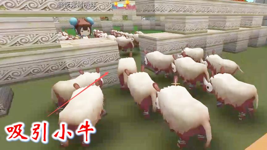 迷你世界联机高级256：猪小妹手拿小麦，在牛圈“跳舞”吸引小牛