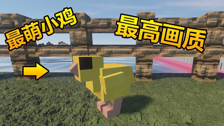 我的世界：你绝对没见过的最高画质和最萌小鸡！太治愈了！