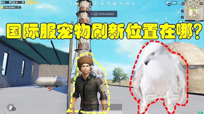 和平精英大神秀15：国际服宠物刷新位置在哪？最齐全的攻略送给你