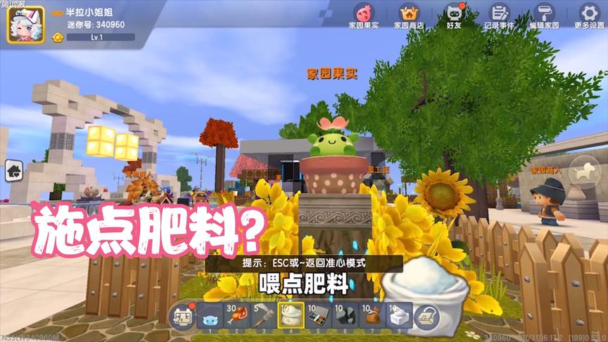 迷你世界测试服：家园大更新，变成真正的房子，家园果实种在里面