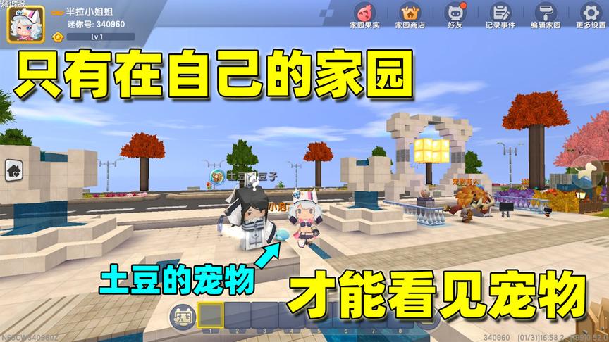 迷你世界：在自己家园才能看见宠物？土豆邀半拉去他家看了个寂寞