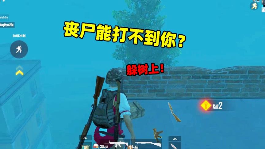 刺激战场象昊解谜251：破晓生还模式躲在树上，丧尸根本打不到你