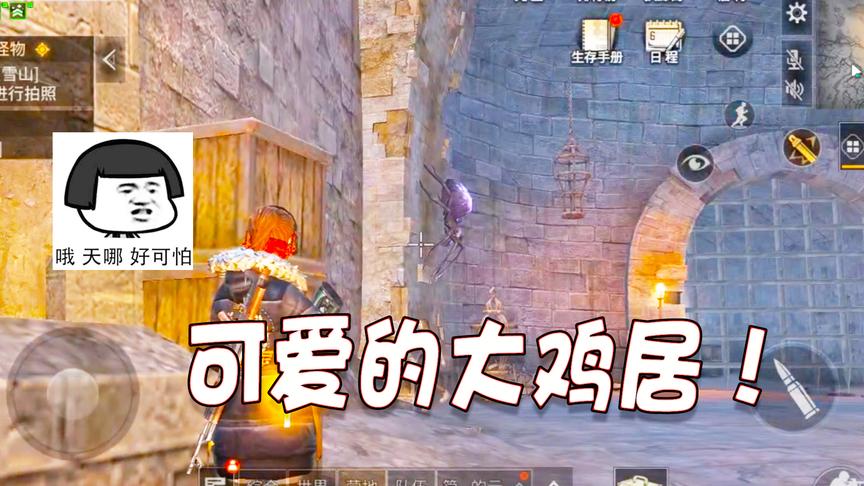 明日之后42：雪山密道入口藏的也太隐蔽了，紫色的大蜘蛛好吓人！