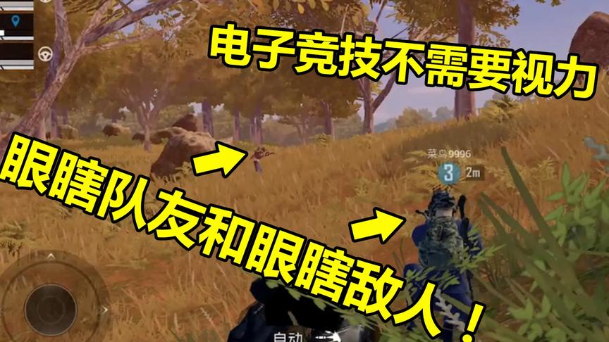 和平精英：敌人队友全部眼瞎，站在面前都看不见！这都能吃鸡？