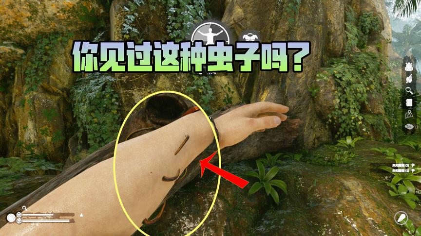 绿色地狱03：在热带雨林中最恐怖的事，就是手臂上爬满了这种虫子
