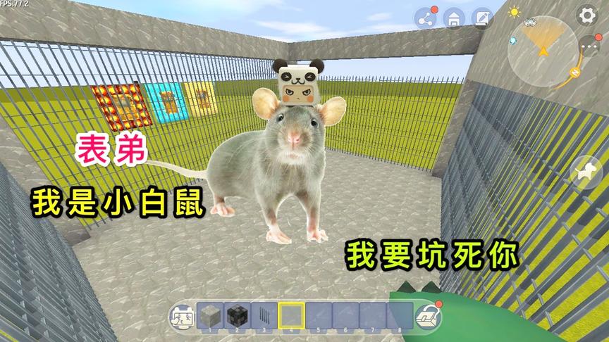 迷你世界：大表哥变成小白鼠，让我来欺负他，没想到是个陷阱