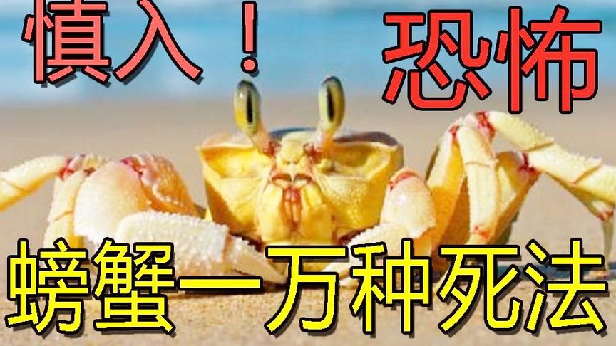 向人类复仇？一只螃蟹的辛酸血泪史！