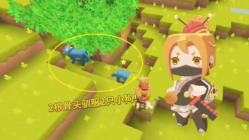 迷你世界高级643：我人品爆发，用2根骨头，驯服了2只小狗