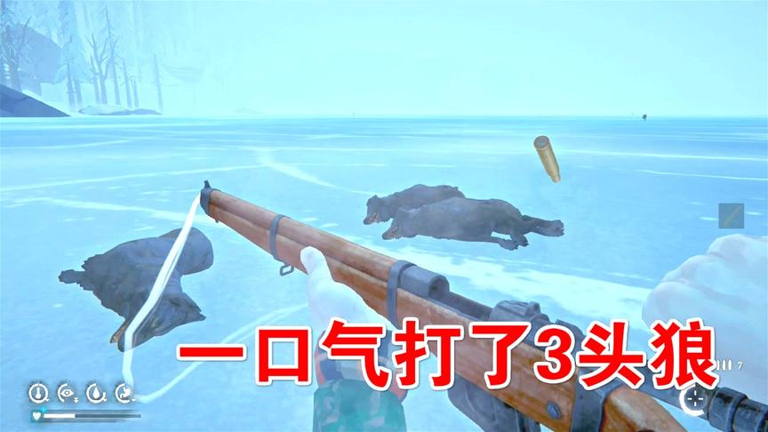 漫漫长夜43：打了3头狼，却遭到黑熊袭击！