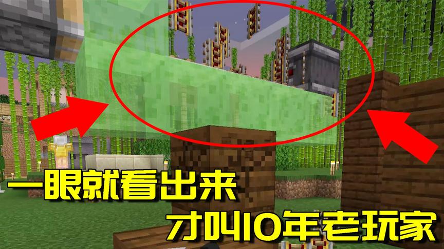 我的世界生存日记56：老玩家才看的懂！只需一眼就知道我要做什么