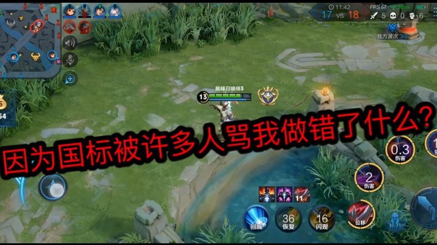 因为一个国服标被许多人骂！我做错了什么？