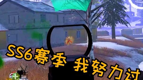 SS6赛季我努力过 打了两天停在皇冠3 太累了