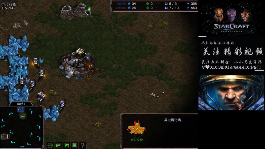 星际争霸 感谢张建军点播 光哥vs假解冻 完美的计算。。。