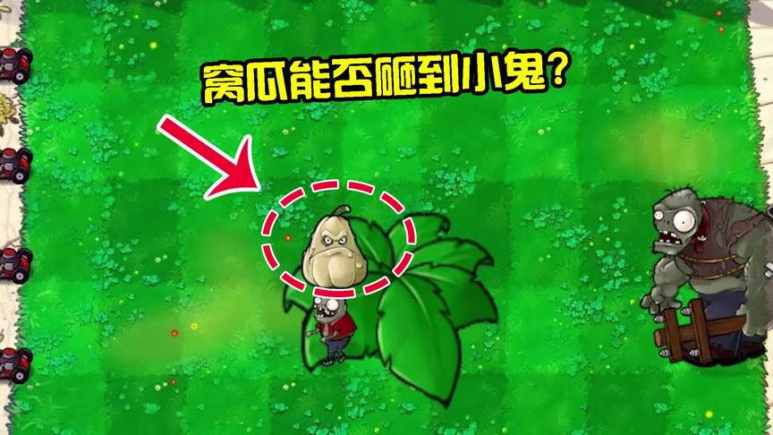植物大战僵尸：在保护伞撑开的那一刻，窝瓜能否砸到小鬼僵尸？
