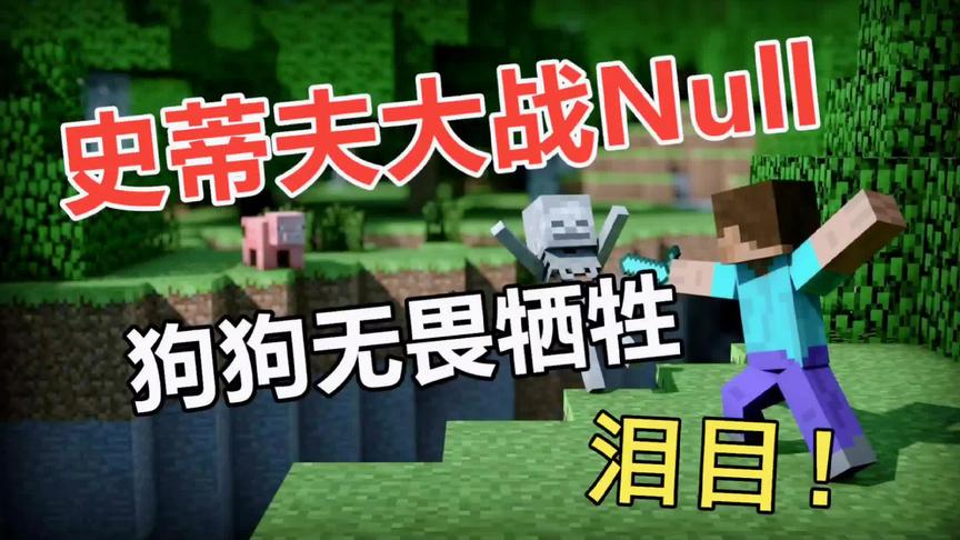 我的世界：史蒂夫大战Null,狗狗立功而死！
