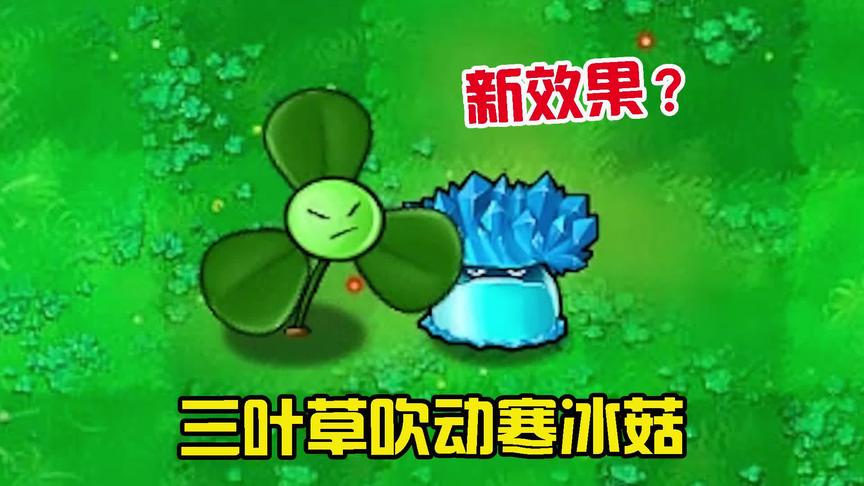 植物大战僵尸：用三叶草吹动寒冰菇，会触发什么效果？趣味测试！