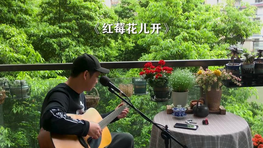 廖昌永红莓花儿开歌曲 西瓜视频