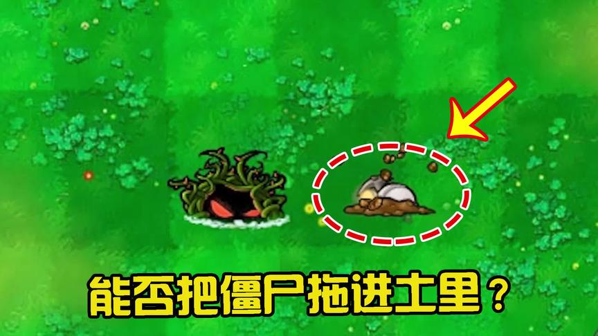 植物大战僵尸：缠绕水草能否把僵尸，拖进土里？看完大开眼界！